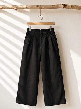 Everlane Black Draper Pleated Pant Size 4S | Women | Elevated Basics